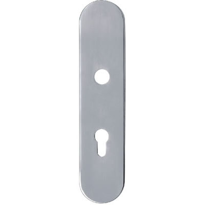 Stainless Steel Handle Plate